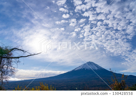 【富士山素材】深秋時節從紅葉觀賞台看到的白雪皚皚的富士山和鱗狀雲朵【山梨縣】 130428558