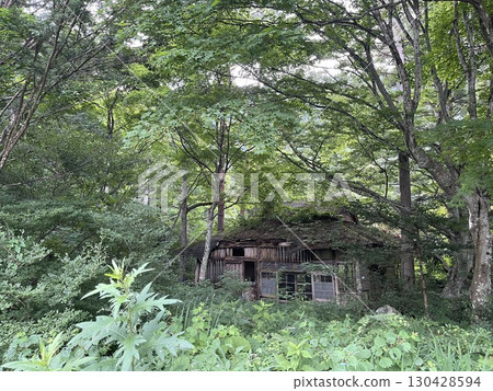 廢墟被大自然吞噬 廢墟被大自然吞噬 130428594