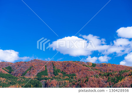 [Autumn Material] Autumn leaves and blue skies in Hakuba Village in late autumn [Nagano Prefecture] 130428936