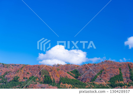 [Autumn Material] Autumn leaves and blue skies in Hakuba Village in late autumn [Nagano Prefecture] 130428937