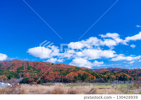 [秋日素材] 深秋白馬村的紅葉和藍天 [長野縣] 130428939
