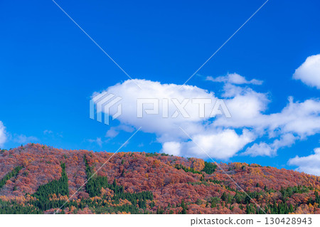 [Autumn Material] Autumn leaves and blue skies in Hakuba Village in late autumn [Nagano Prefecture] 130428943