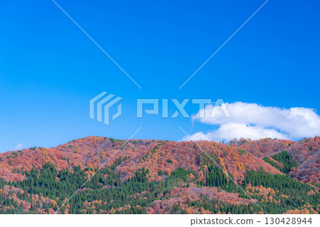 [秋日素材] 深秋白馬村的紅葉和藍天 [長野縣] 130428944