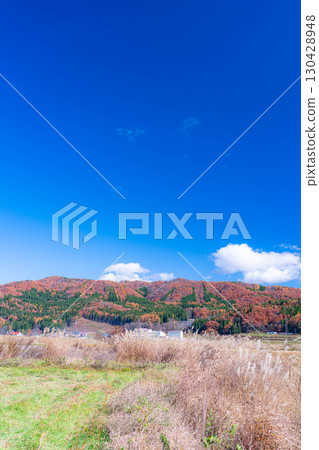 [Autumn Material] Autumn leaves and blue skies in Hakuba Village in late autumn [Nagano Prefecture] 130428948
