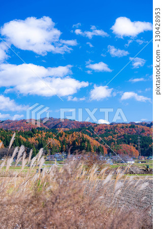 [秋日素材] 深秋白馬村的紅葉和藍天 [長野縣] 130428953