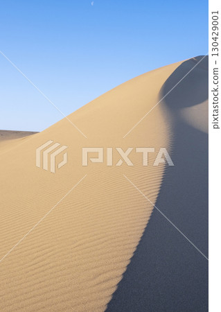 Wind pattern (Tottori dune) 130429001