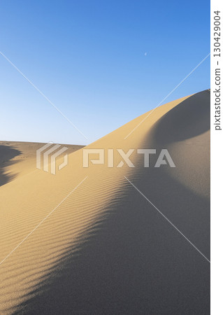 Wind pattern (Tottori dune) Wind pattern (Tottori dune) 130429004