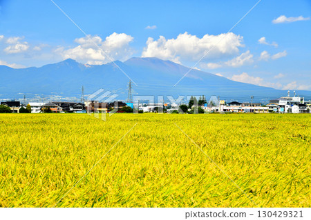 View of Mount Asama from Maeyama in Saku City (Saku City, Nagano Prefecture) [September 2025] 130429321