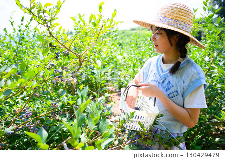 A girl in a straw hat enjoying blueberry picking at a farm 130429479
