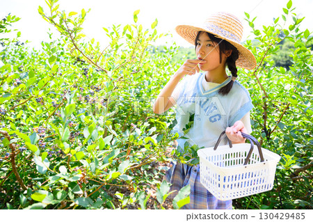 A girl in a straw hat enjoying blueberry picking at a farm A girl in a straw hat enjoying blueberry picking at a farm 130429485