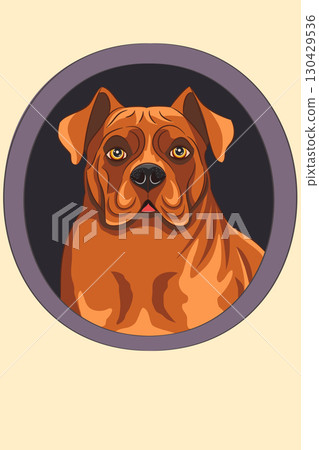 Vector illustration of Dogue de Bordeaux dog Vector illustration of Dogue de Bordeaux dog 130429536