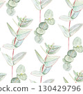 Eucalyptus branch with pointed and round leaves watercolor seamless pattern on white background. Hand-painted art ideal for textile, natural cosmetics branding, packaging, fabric, eco decor 130429796