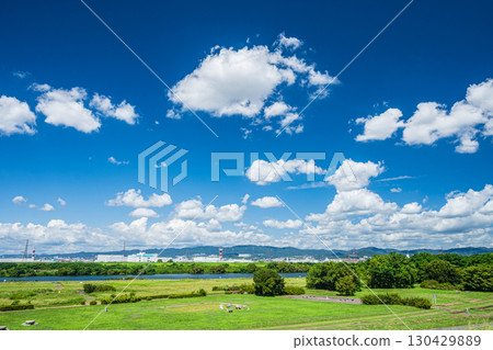 Summer scenery of the Yodogawa River Park Exit Area, Hirakata City 130429889
