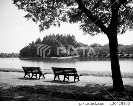 Mizumoto Park 130429890