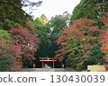 鹿兒島縣霧島市霧島神社的秋天 130430039