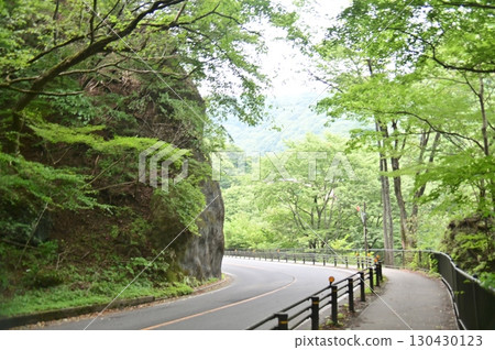View of the promenade leading to Meganebashi Bridge from the Meganebashi Parking Lot 130430123
