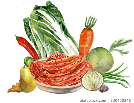 Vegetables composition for kimchi watercolor illustration on transparent background. Chinese cabbage, onion, ginger, carrot, daikon and pepper. For kimchi design, recipes and cards  130430248