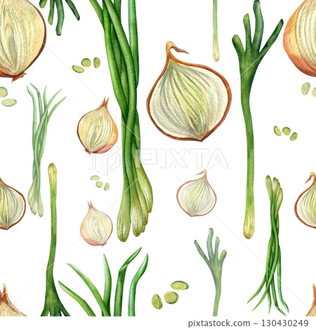 Green onion, feathers, bulb, slices. Seamless pattern of watercolor illustrations on a transparent background. For wallpaper design, postcards, recipes  130430249