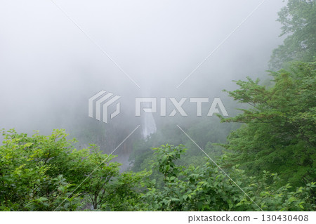 Scenery of a forest and hiking trail shrouded in mist 130430408