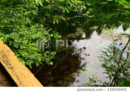 三宮神社泉水流淌的內堤 三宮神社泉水流淌的內堤 130430481