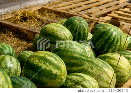 Pallets with pile of ripe sweet watermelons at the market Pallets with pile of ripe sweet watermelons at the market 130430543