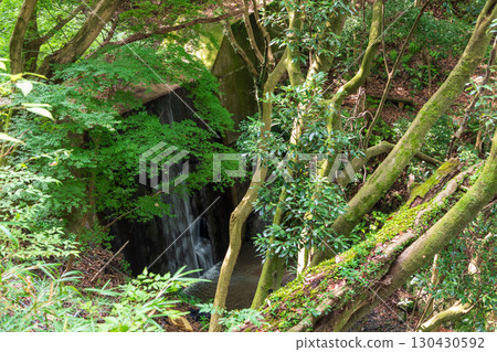 A view of the erosion control dam on the way to Ankoku Pass from the Osaka side A view of the erosion control dam on the way to Ankoku Pass from the Osaka side 130430592