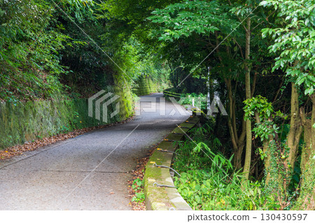 A view of the steep slope leading to Ankoku Pass from the Osaka side A view of the steep slope leading to Ankoku Pass from the Osaka side 130430597
