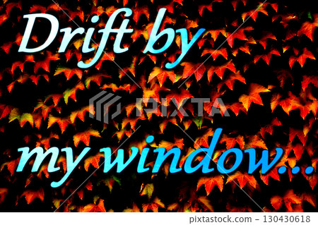 Autumn mood. Wall of red bright leaves ivy Autumn mood. Wall of red bright leaves ivy 130430618