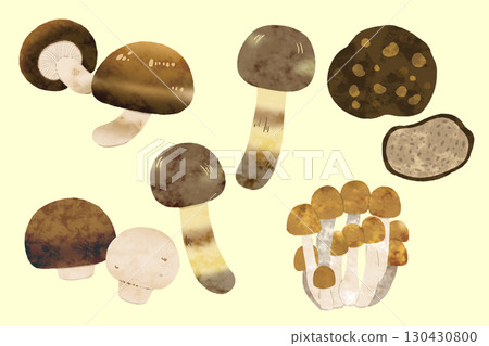 mushroom  130430800
