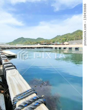 海豚農場Shimanami 海豚農場Shimanami 130430886