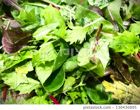 Organic baby leaves from Ibaraki Prefecture 8 130430895