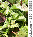 12 organic baby leaves from Ibaraki Prefecture 130430899