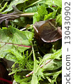 15 organic baby leaves from Ibaraki Prefecture 130430902