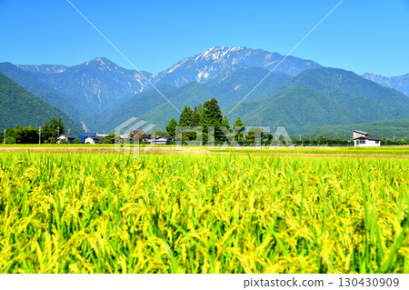 View of Mount Renge and Mount Kitakadake from Taira in Omachi City (Omachi City, Nagano Prefecture) [September 2025] 130430909