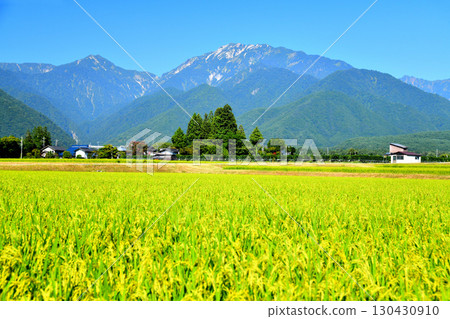 View of Mount Renge and Mount Kitakadake from Taira in Omachi City (Omachi City, Nagano Prefecture) [September 2025] 130430910