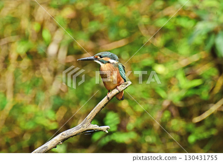 Favorite spot 130431755