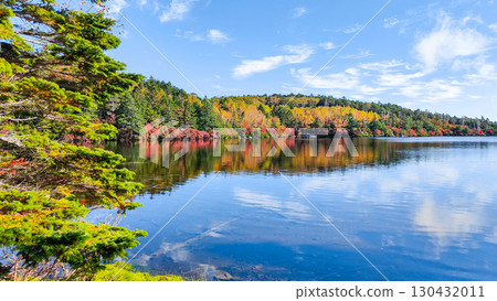 秋天的白駒池 130432011