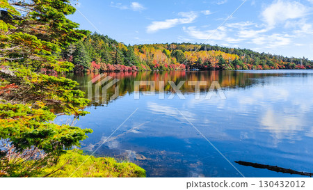 秋天的白駒池 130432012