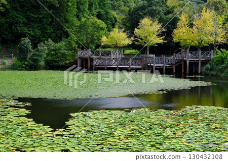 初秋色彩繽紛的公園池塘（出雲市荒神谷歷史公園） 130432108