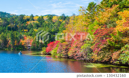 Shirakoma pond in autumn Shirakoma pond in autumn 130432160
