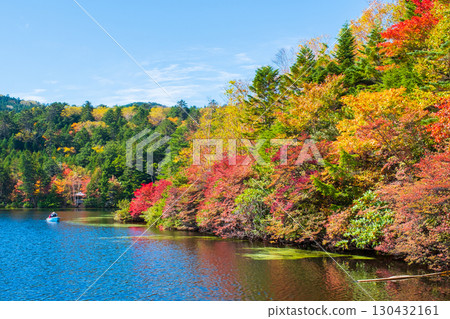 秋天的白駒池 秋天的白駒池 130432161