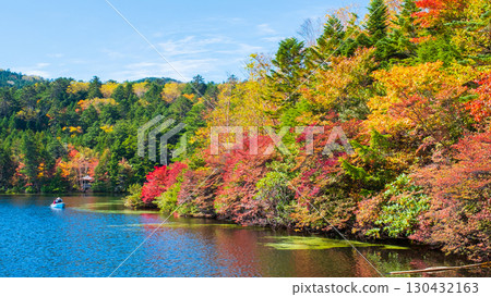 秋天的白駒池 秋天的白駒池 130432163