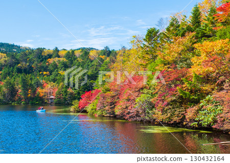 Shirakoma pond in autumn 130432164