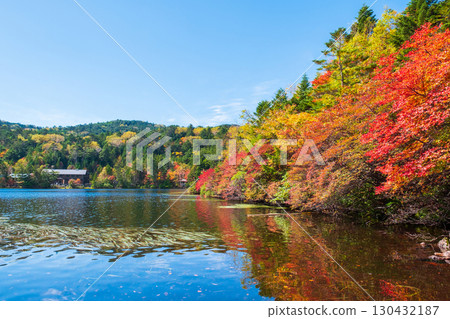Shirakoma pond in autumn Shirakoma pond in autumn 130432187