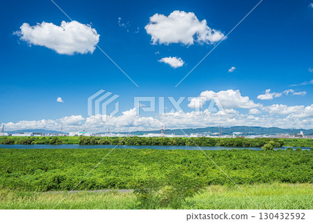 Summer scenery of the Yodo River, view from the left bank of the Yodo River, Hirakata City 130432592