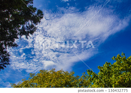 [Kyoto Scenery] Daisen-in Temple: A garden where white sand and rock formations represent life 130432775