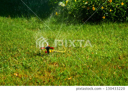 Summer irrigation.Sprinkler watering greenery,hot day in city park Summer irrigation.Sprinkler watering greenery,hot day in city park 130433220