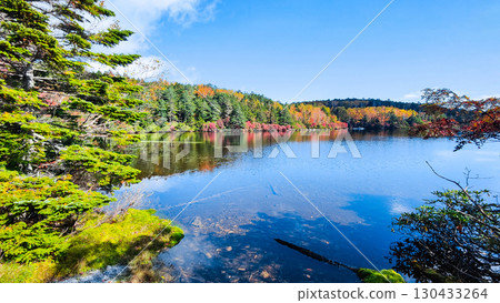 Shirakoma pond in autumn 130433264