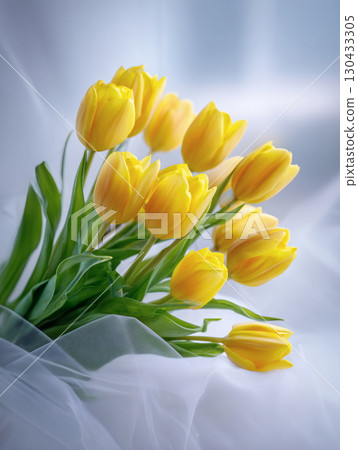 窗簾前的鬱金香 130433305