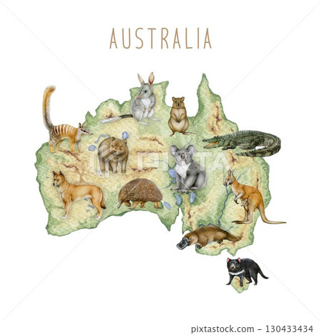 Map of Australia with native animals hand drawn watercolor illustration isolated on white background. Kangaroo, koala, echidna, dingo, bilby on Australian continent vintage style image 130433434